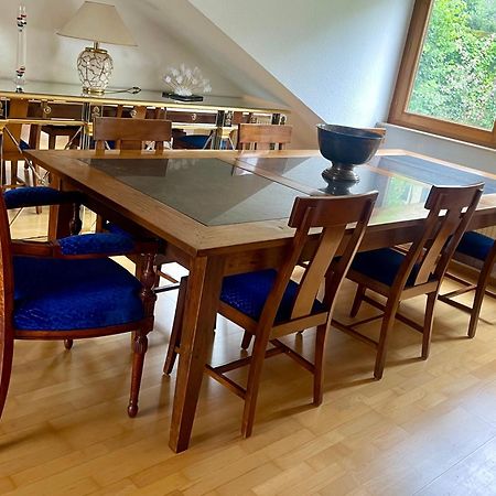 Wunderschoenes Grosses 3 Zimmer Apartament Zentrum Goldstadt Familienfreundlich Mit Garage Pforzheim Esterno foto