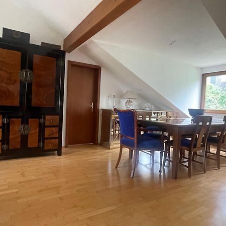 Wunderschoenes Grosses 3 Zimmer Apartament Zentrum Goldstadt Familienfreundlich Mit Garage Pforzheim Esterno foto